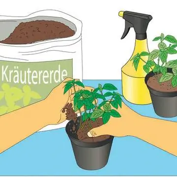 Горшок кусочки