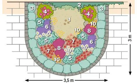 План посадки полукруглой весенней грядки
