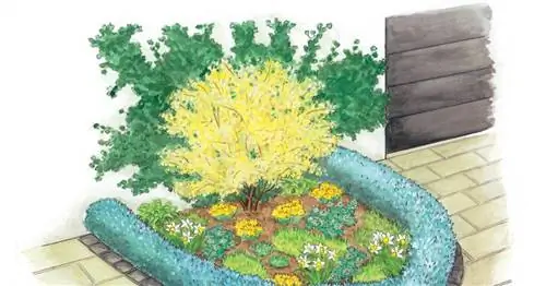 Для пересадки: пружинная грядка для переднего двора