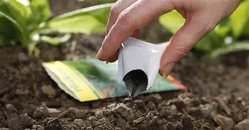 10 советов по посеву