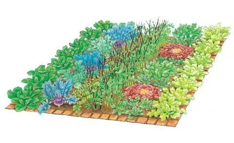 Смешанная культура весной