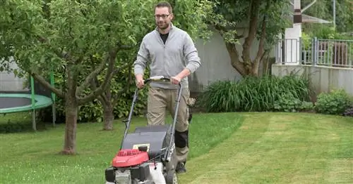 Как обновить газон без перекопки