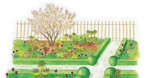 Для пересадки: Луковичная клумба для дачного участка