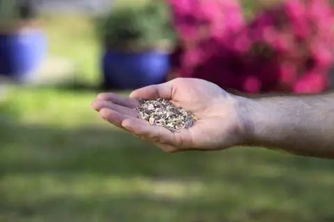 роговая стружка