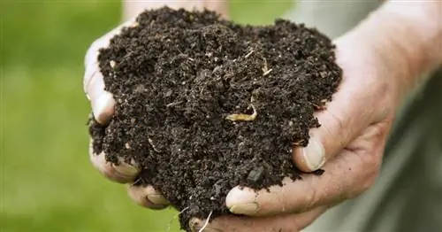 10 советов об органических удобрениях