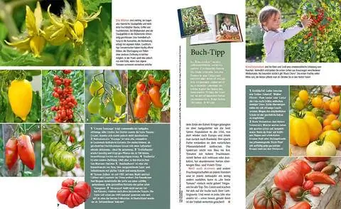 Отрывок My Beautiful Garden Special Tomatoes