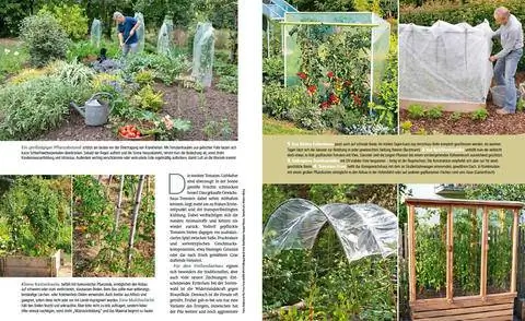 Отрывок My Beautiful Garden Special Tomatoes