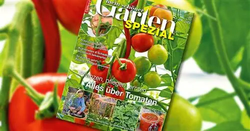 My Beautiful Garden Special: "Все о помидорах"