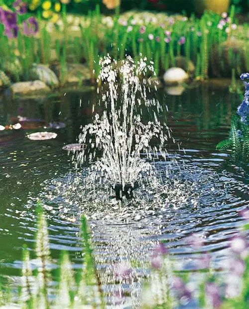 Садовый пруд с водными элементами