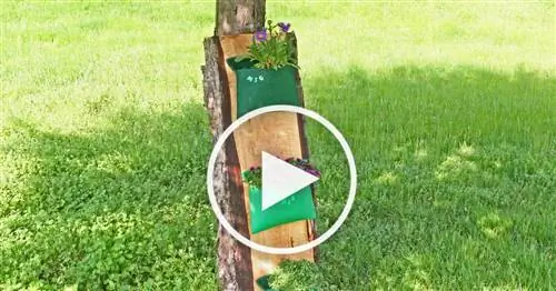 Создайте свой собственный вертикальный сад