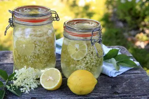 Готовый сироп из цветков бузины Готовый сироп из цветков бузины