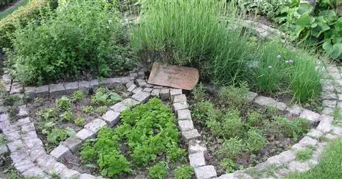Креативно создавайте травяные сады