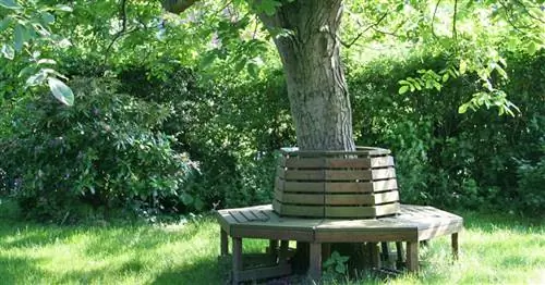 Round Bench: Советы по покупке и красивые модели