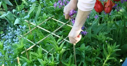 Создайте свой собственный держатель для кустов: это так просто