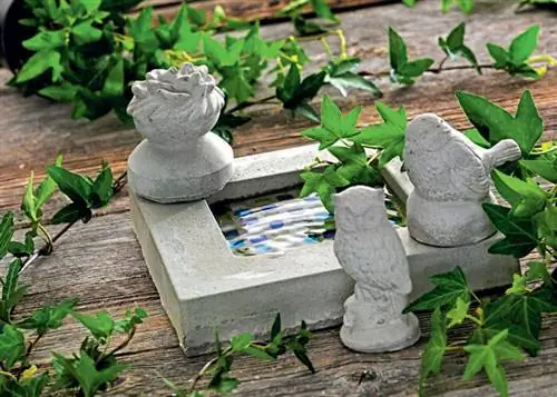 Image Image