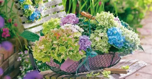 Идеи украшения гортензиями