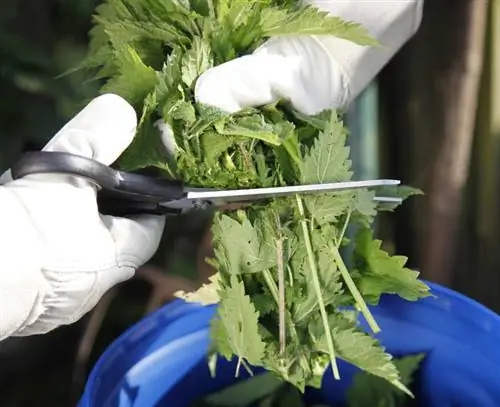 Измельчить крапиву