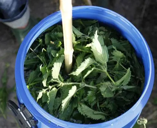 Перемешать крапивную жидкость