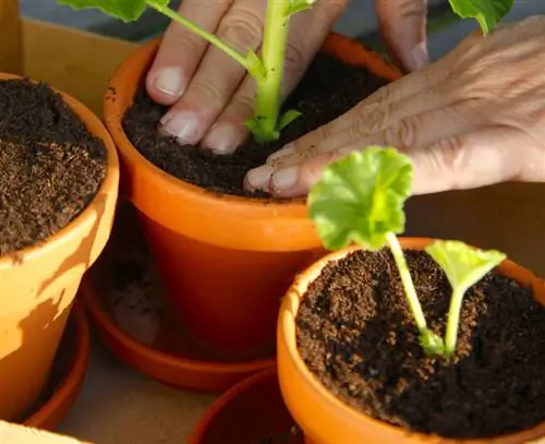 Нажмите и налейте