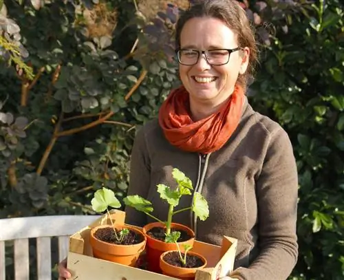 правильное местоположение