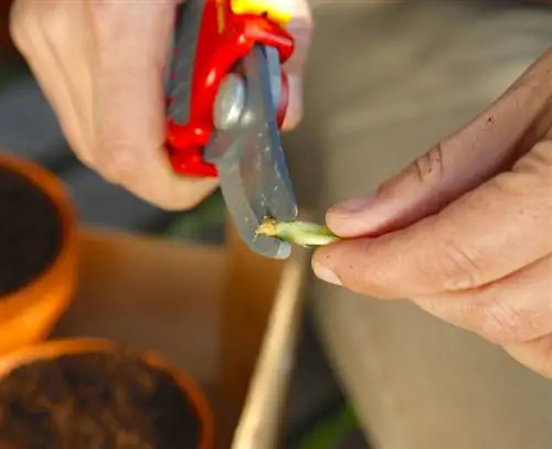 Интерфейс должен быть плавным