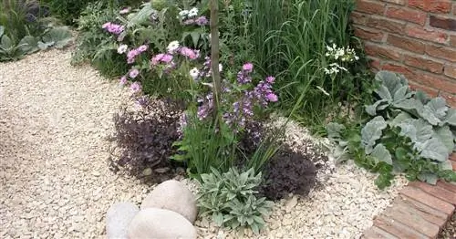 4 практических совета по уходу за гравийным садом