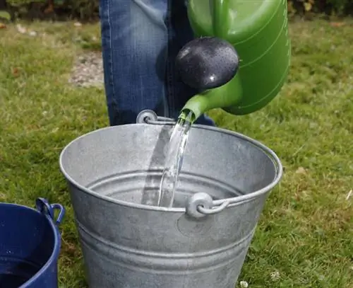 Добавьте воды