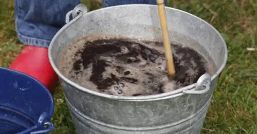 Компостная вода предотвращает грибковое поражение