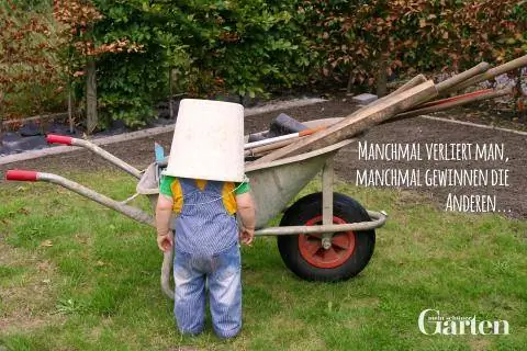 Иногда ты теряешь