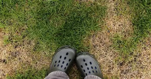 Бывает - банкротства, невезения и поломки при садоводстве