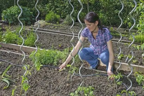 Установить систему орошения