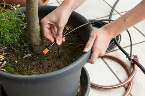 Установить капельный полив