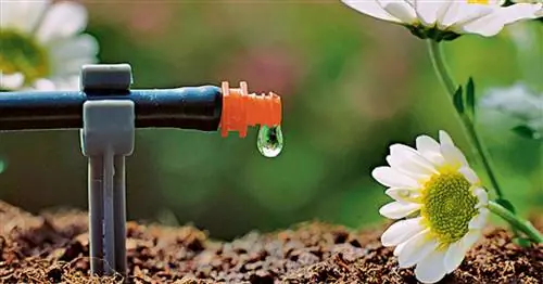 Системы автоматического полива