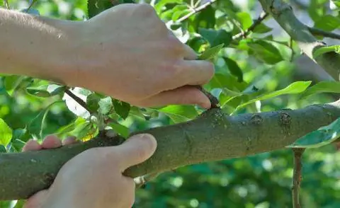 Вырви слезы воды