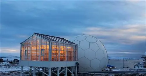 Зеленый оазис: оранжерея в Антарктиде