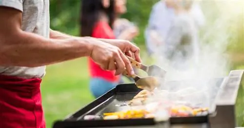 Гриль в саду: что разрешено?