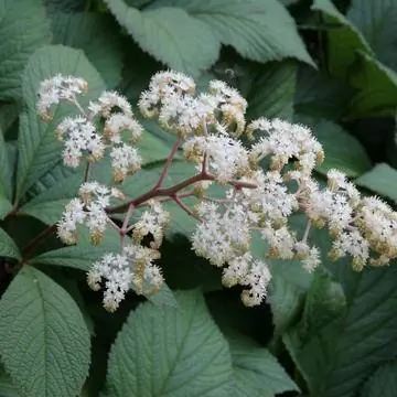 лист записи