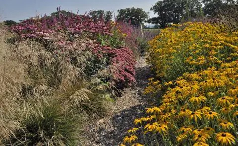 склон сад сухое место
