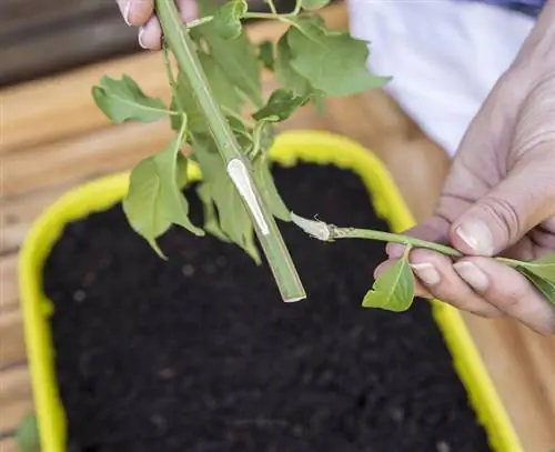 убрать треск