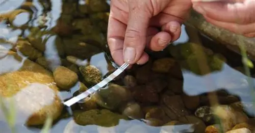 Вода в вашем пруду зеленая? Так вы обеспечите чистую воду