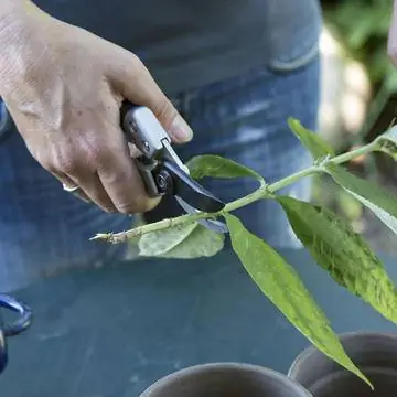 отдельные части