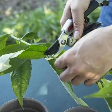 нарезать кусочки