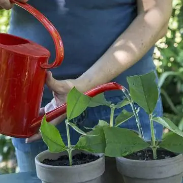обводнение
