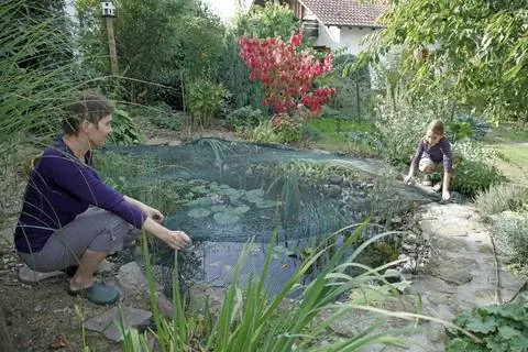 затяните сетку для листьев