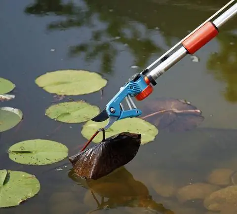 Вырезать кувшинки