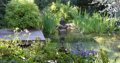 Дизайнерские сидения у садового пруда