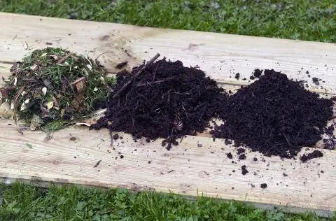 Скошенная лужайка