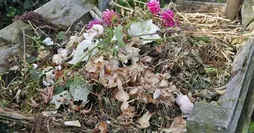 Неприятный запах компостных куч