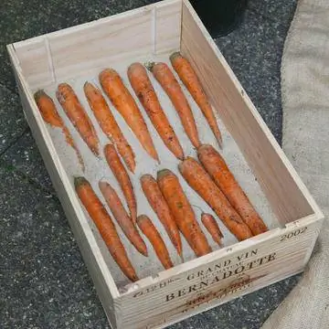 морковь в деревянном ящике