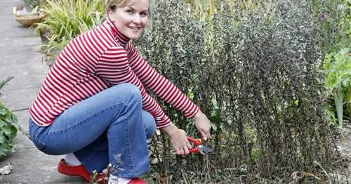 10 советов для клумб осенью